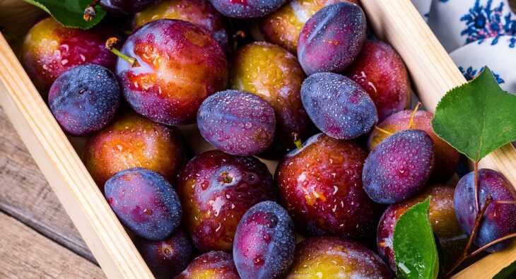 Co to je kontejner potravinarsky?